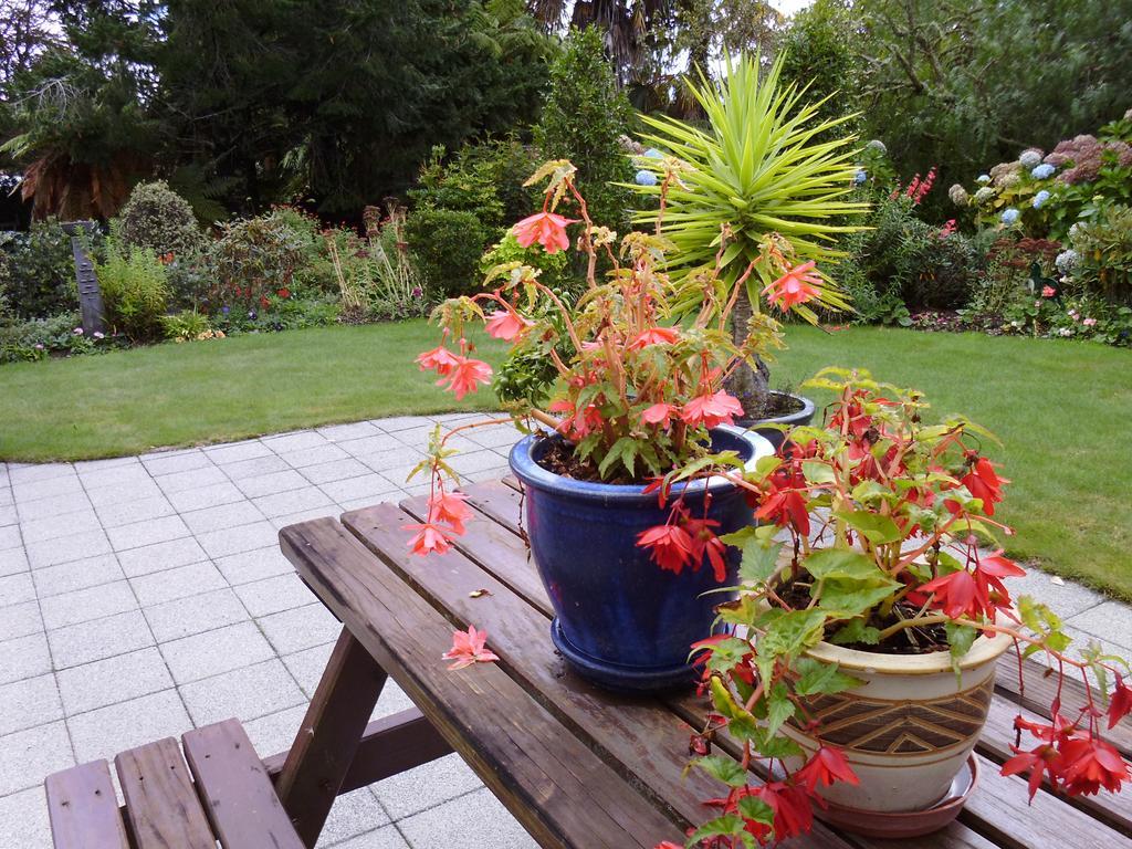 Maple House B&B Rotorua Exterior foto
